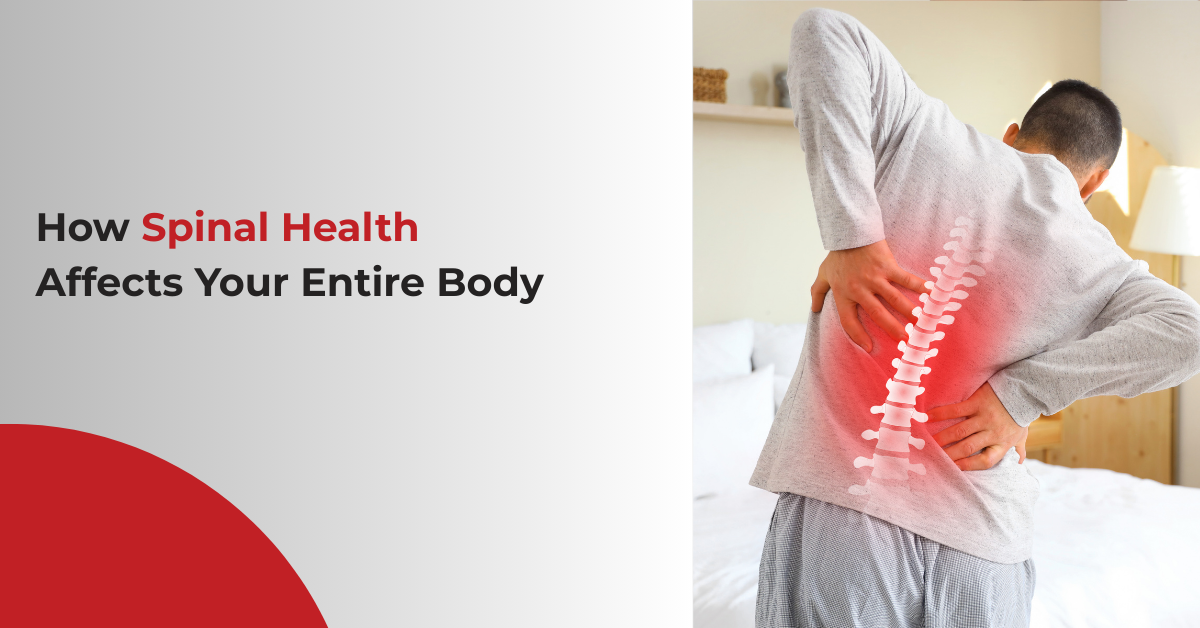 How Spinal Health Affects Your Entire Body (1)